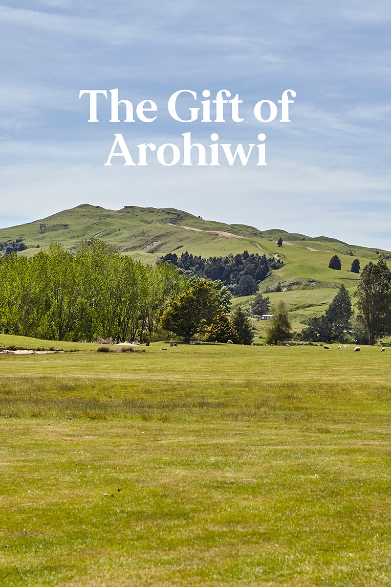 The Gift of Arohiwi_cover_1200 px h